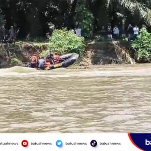 Hari Kedua Pencarian, Korban Diduga Diterkam Buaya di Sungai Manjunto Belum Ditemukan