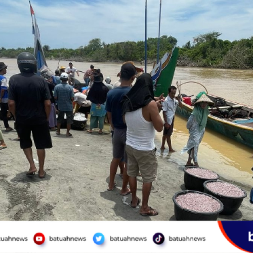 Panen Ikan Mukus di Mukomuko Melimpah, Nelayan Raup Hasil Berkali Lipat