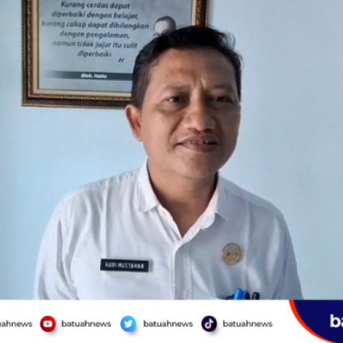 Sapi Simental Raksasa Bantuan Presiden Segera Masuk Mukomuko, Bobot Tembus 1,2 Ton