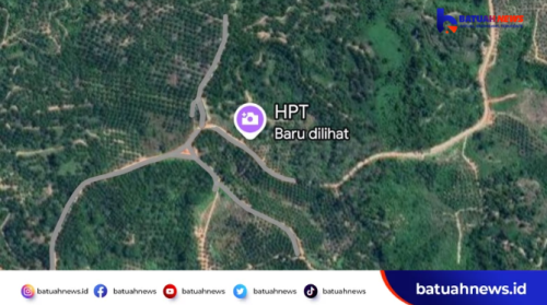 Kebun Sawit di Kawasan Hutan Mukomuko Akan Masuk Materi RDP dengan Komisi IV DPR RI, Barbarengan dengan Kasus di Sulawesi Barat