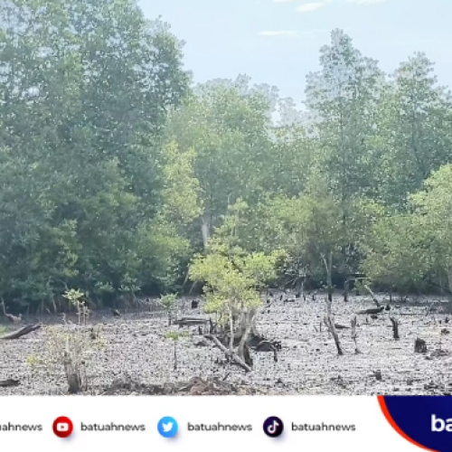 Abrasi dan Alih Fungsi Lahan Bayangi Pesisir, KKMD Mukomuko Resmi Dibentuk