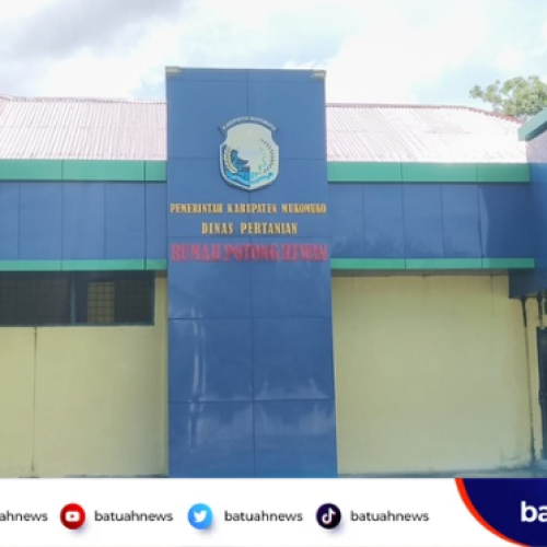 Pedagang Wajib Potong di RPH, Dinas Pertanian Mukomuko: Demi Daging Halal dan Aman