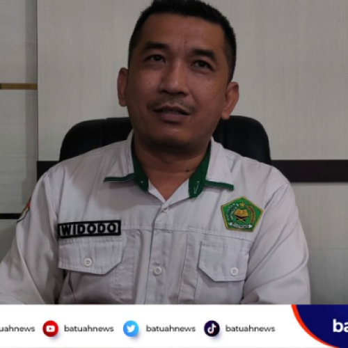 Idul Adha 2026: Jumlah Hewan Kurban di Mukomuko Tembus 1.481 Ekor, Kecamatan Penarik Terbanyak