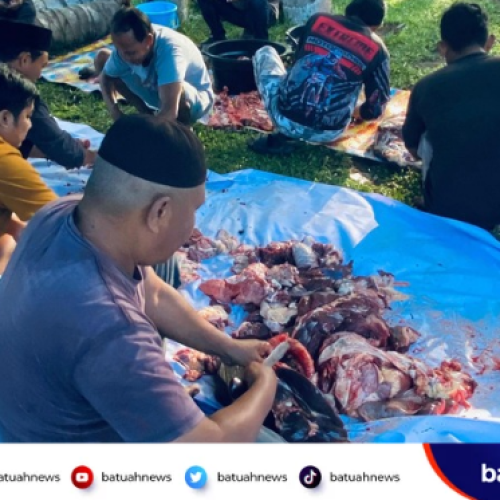 Pastikan Aman, Dinas Pertanian Mukomuko: Daging Kurban Idul Adha 1446 H Layak Konsumsi