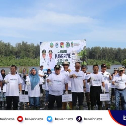 KKMD Mukomuko Tanam 1.000 Mangrove, Awali Gerakan Selamatkan Pesisir