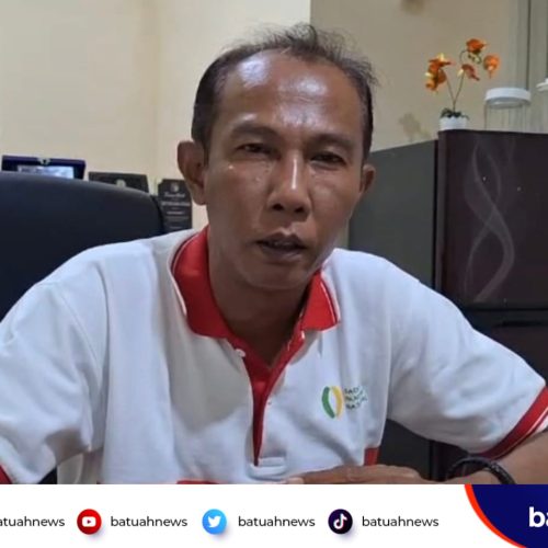 Kebutuhan Pangan Mukomuko Terjamin, Peti Lokal Masuki Musim Panen Beras
